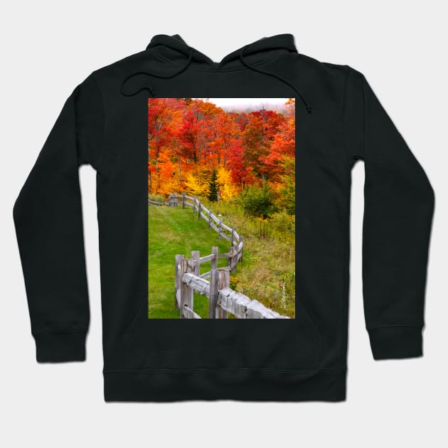 Southridge Autumn Fence Hoodie by srwdesign